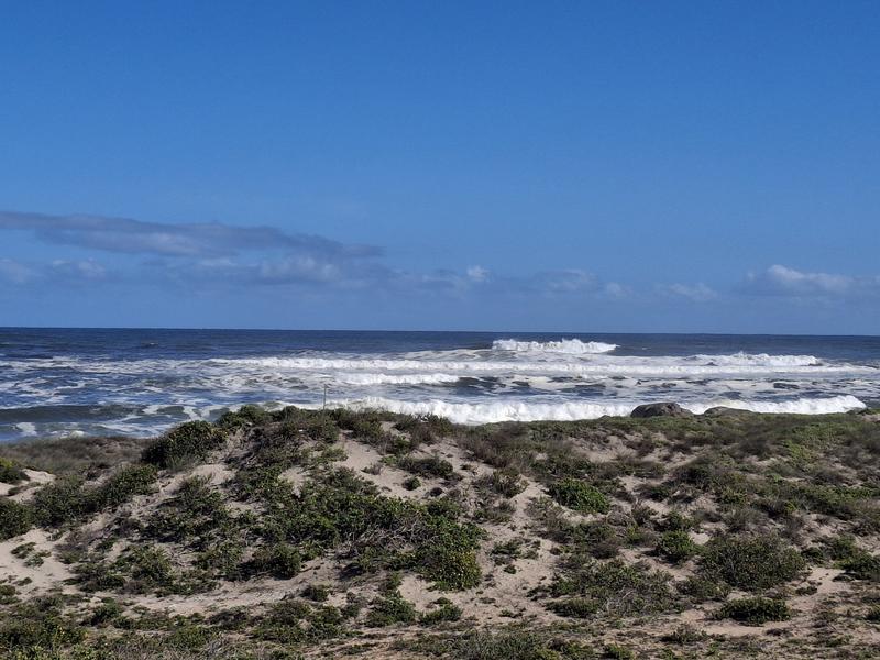 0 Bedroom Property for Sale in Cape St Martin Private Reserve Western Cape